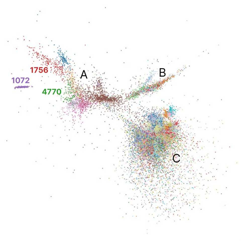 fig11
